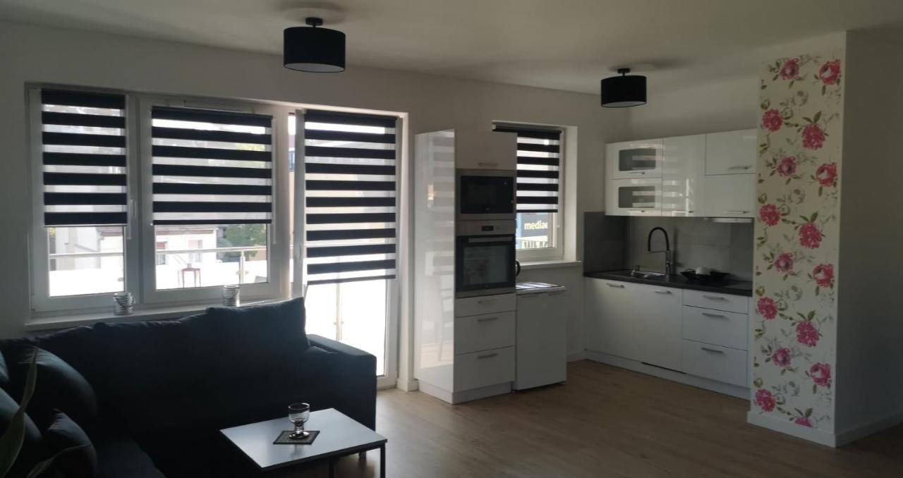 Апартаменты Apartament Flover Еленя-Гура Экстерьер фото