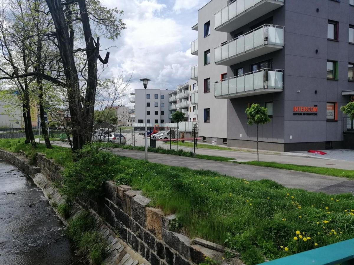 Апартаменты Apartament Flover Еленя-Гура Экстерьер фото
